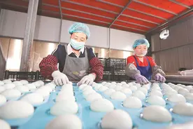 淮北市石台镇：小鸭蛋成大产业图片