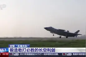 飞出新时代的荣光！这就是歼-20飞行员的英姿→图片