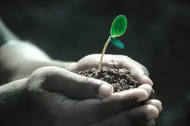 世界土壤日|守护地球脆弱又珍贵的“皮肤”！图片