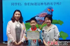 点赞！爱鸟护鸟请向他这样做！图片