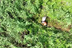湖南大通湖区：退水不松懈 筑牢防汛“安全墙”图片