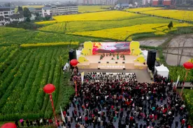 广安花桥油菜花季盛大开启 首日揽客10万余人图片
