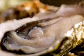 “海鲜自由”回来了！接下来广东人的餐桌是这样的→图片