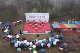 360亩桃花渐入“花境” 四川自贡2025年美丽富顺·寻找醉美乡村暨板桥镇第七届千秋桃花文化旅游活动启幕图片