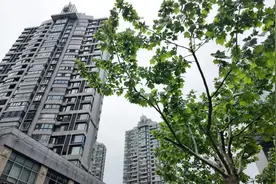 月底还有两场雨！五月开场大不同~图片