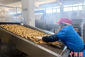 （新春走基层）湖北通城县麦市镇：豆香氤氲产业兴图片