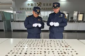 331.7克穿山甲鳞片！瑞丽海关查获塑料袋包裹动物鳞片进境案图片