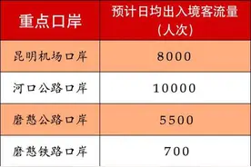@出入境旅客 云南各口岸发布提示：合理规划出行时间图片