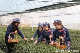推动乡村全面振兴，长清区今年将实施“百村十片，和美万家”计划图片