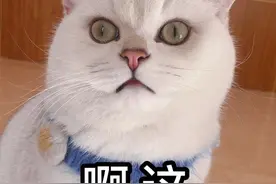 观海杂话铺465 | 价格飙涨10倍，知名药品停产！网友：没有你我可怎么活图片