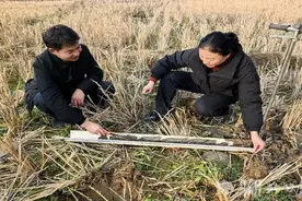 竹溪县精准绘制土地“基因图谱”图片