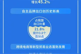 43.85万亿元！一图速览2024年外贸“成绩单”图片