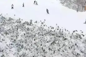 3到5分钟就会窒息 去滑雪这些问题要注意→图片