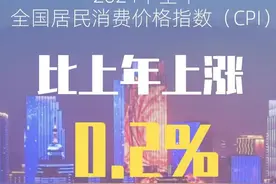 2024年全年我国CPI同比上涨0.2%图片
