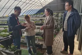 【亮点】新疆库尔勒市：异地跟岗助推基层干部加速成长图片