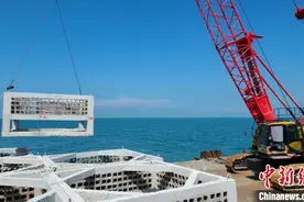 广西北海海洋牧场“鱼屋”成北部湾生态渔业典范图片