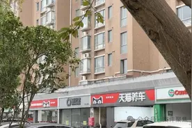 宠物殡葬店开在居民楼下、遗体在车上火化，如何促进行业合规发展？图片