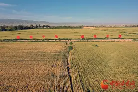 武威凉州：守牢耕地保护红线 筑牢粮食安全底线图片
