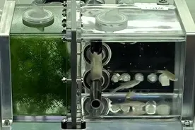 “鱼航员”选拔记图片