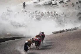 阿勒泰的后劲太大了！看了这部电视剧，更不想错过这个大美地图片