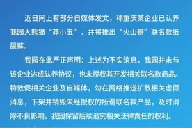 重庆动物园严正声明：大熊猫“莽小五”未被认养图片