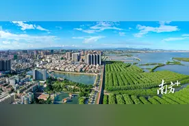 电白近海生态变好，“看不见”的原因是什么？｜海上森林寻新记图片