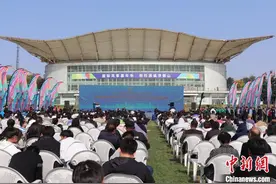第四届全国传统风筝创意扎制大赛收官 传承风筝古法技艺图片