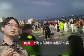 海滨浴场不明鱼类咬人!是何生物?为何突然出现?图片