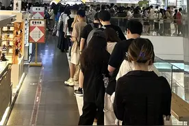 传下去！线条小狗来上海度假啦！图片