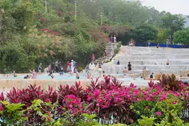 “五一”小长假 上思十万大山森林温泉康养体验游备受青睐图片