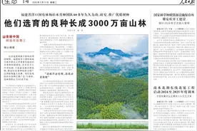 人民日报看陕西丨陕西西安330千伏龙首变电站：提高供电可靠性和稳定性图片