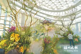 新年第一天，福州三江口植物园正式开园图片