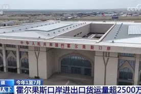 “数”说新疆霍尔果斯口岸货运量持续攀升 外贸发展活力进一步释放图片