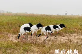 福利来了！29家景区对“盐马”参赛运动员免门票图片