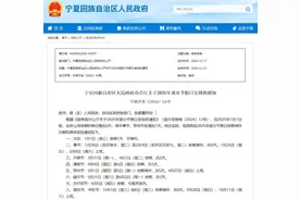 宁夏2025年放假安排公布！图片