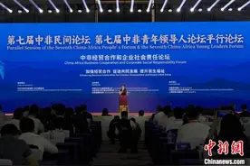 300名中外代表齐聚长沙 共议中非经贸合作和企业社会责任图片