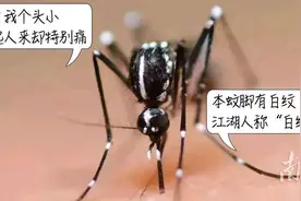 广东登革热流行风险高！专家提醒：有效灭蚊只需一个简单动作图片