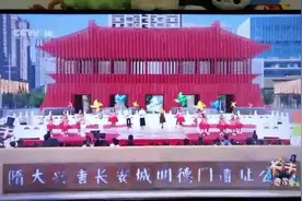 赞！郑州市二七区政通路小学贺庭泓彦同学闪耀央视少儿舞台图片