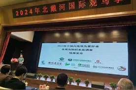 中国大陆观鸟爱好者人群数量已超34万人，5年来净增20万人图片
