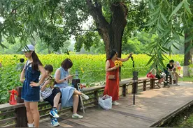 自带道具增添氛围感，奥森向日葵花海迎打卡人潮图片