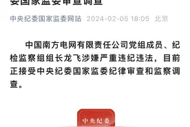 中国南方电网有限责任公司党组成员、纪检监察组组长龙飞被查图片