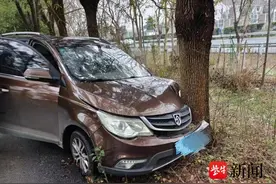 转弯车速过快，弧度过大小车撞上路侧大树图片