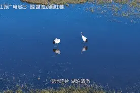 发朋友圈被问疯了，都以为我去了非洲！图片