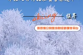 年轻人为何扎堆去吉林过冬？图片