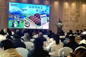 “鲜掉眉毛”的丽江高山羊肚菌上市啦！图片
