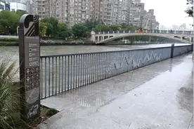 上海民声|改造垂钓点 治理福寿螺 “一河一策”大讨论让“水清岸绿”图片