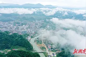 共享城市“生态红利”图片