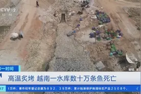 高温炙烤！东南亚多国持续高温，越南一水库数十万条鱼死亡图片
