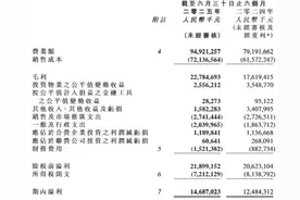 华润置地上半年营收949.2亿元，开发业务拖累核心净利下降图片