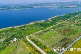 生态美带动产业兴！日照水库EOD项目擦亮高质量发展绿色底色图片
